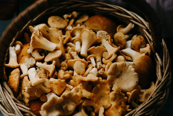 Vitamin D from mushrooms is a bioavailable option for vegans and vegetarians