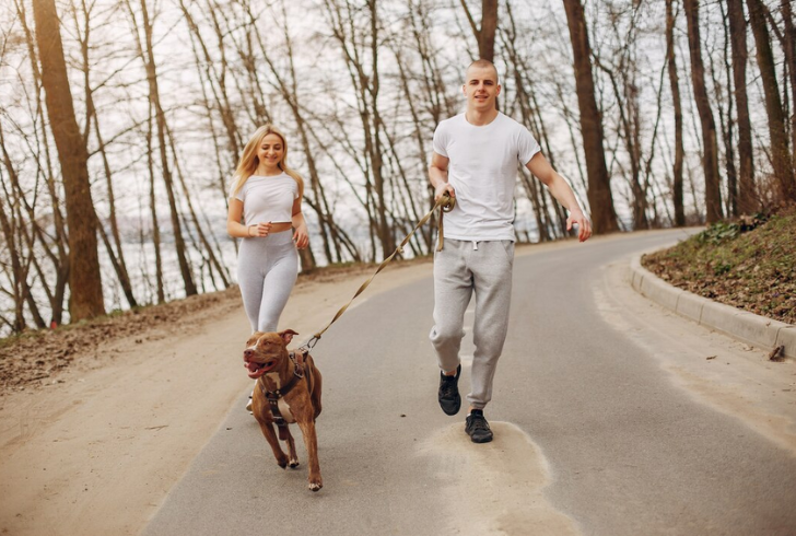 Running with dogs in shade.